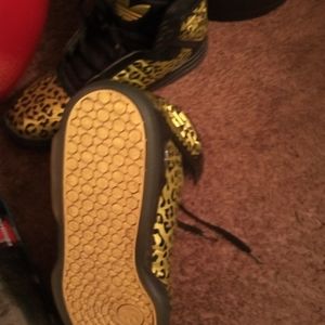 Adidas cheetah Basketball shoes